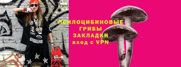 Альфа ПВП Каменка