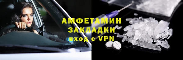 молекула духа Арсеньев