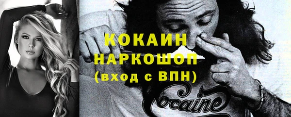 молекула духа Арсеньев