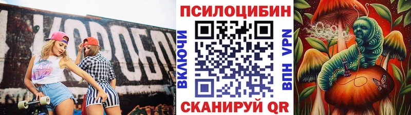 Галлюциногенные грибы Psilocybine cubensis  OMG зеркало  Байкальск  цена  