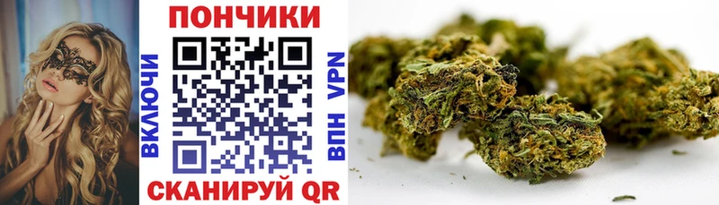 хочу   Байкальск  Конопля SATIVA & INDICA 